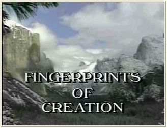 Fingerprints Of Creation