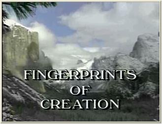 Fingerprints of creation