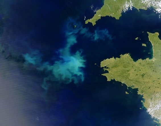Gigantische algenbloei in de Atlantische Oceaan