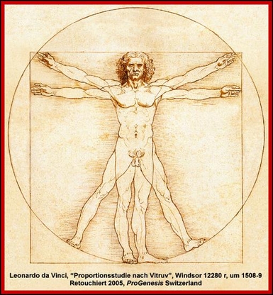 Leonardo da Vincis proportional study according to Vitruv